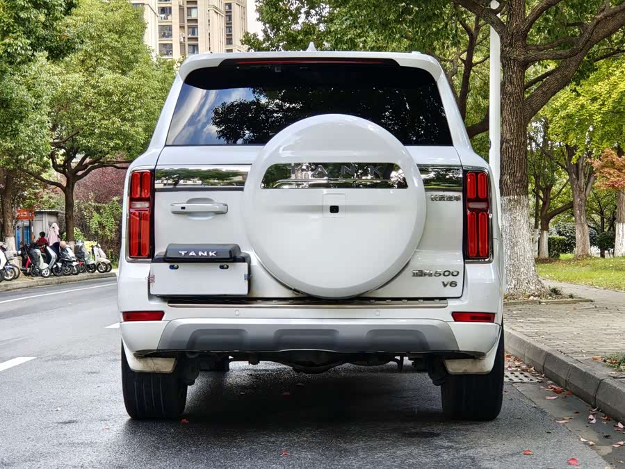 Tank 300 2021 car image #19