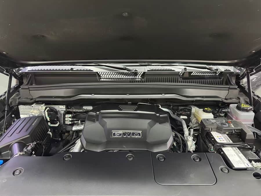 Tank 400 2024 #19 Tank 400 2024 imagem de carro #19