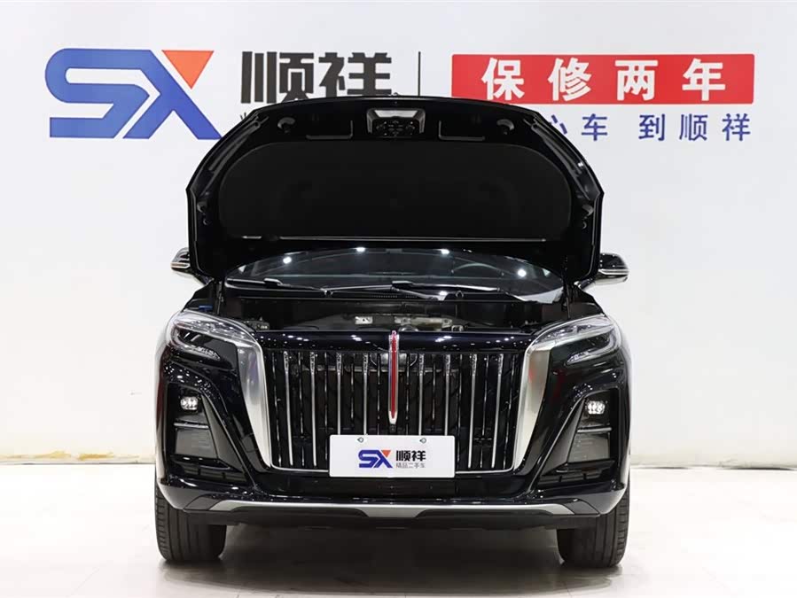 HongQi HS3 2024 immagine di auto #19