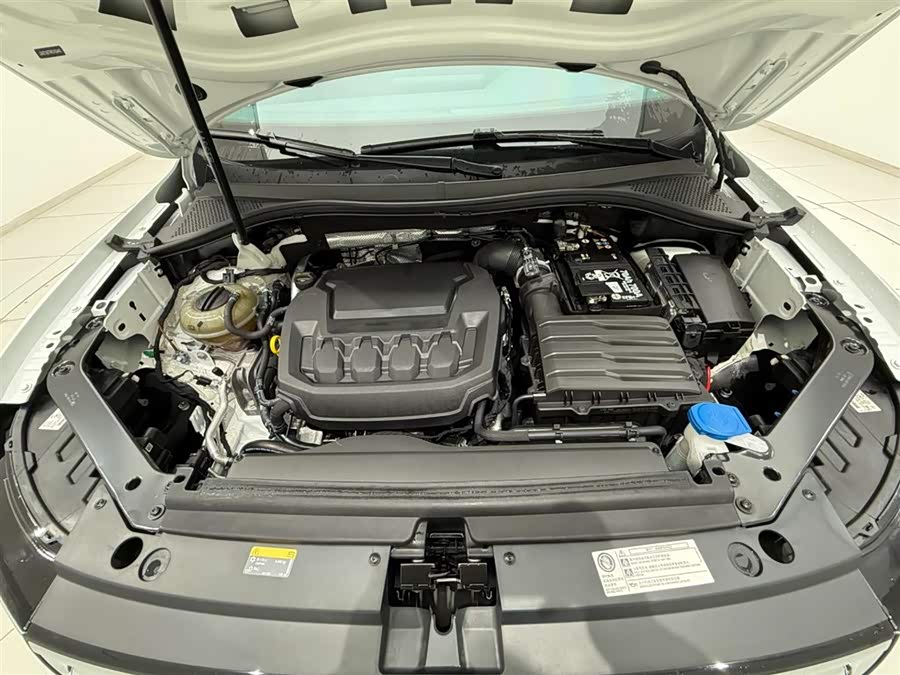 Volkswagen Tiguan L 2024 car image #19