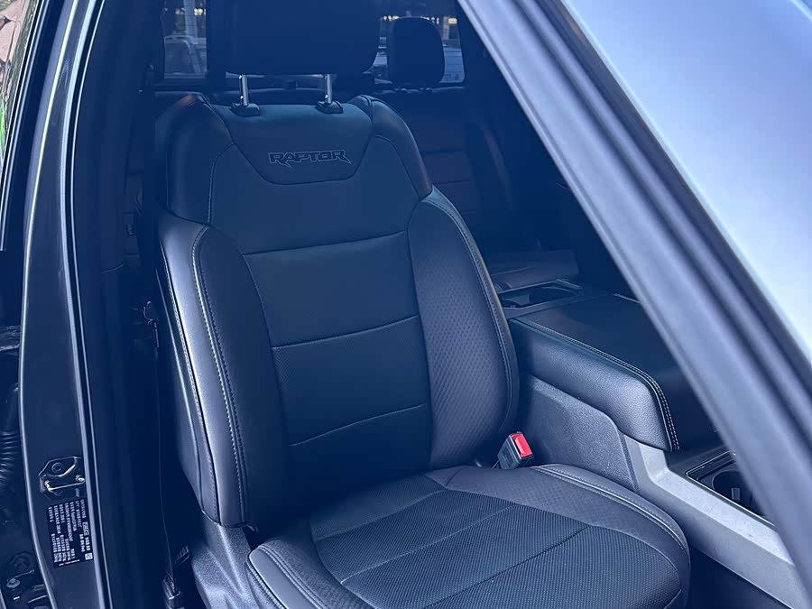 Ford F-150 Raptor 2019 car image #19