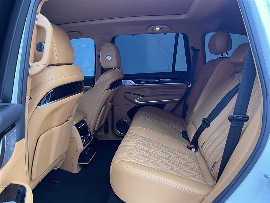 Tank 500 New Energy 2023 immagine di auto #19