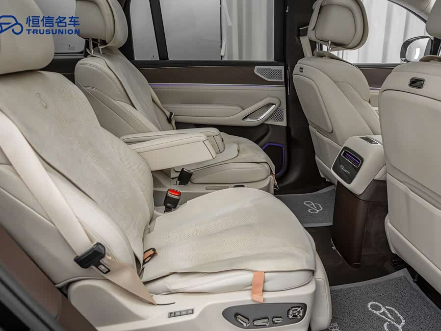 Denza N9 2025 car image #19