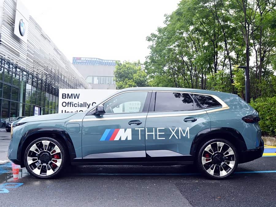 BMW XM 2024 imagem de carro #19
