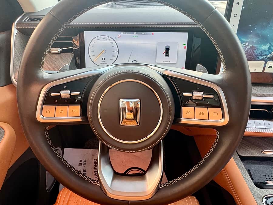 Tank 500 New Energy 2024 car image #19