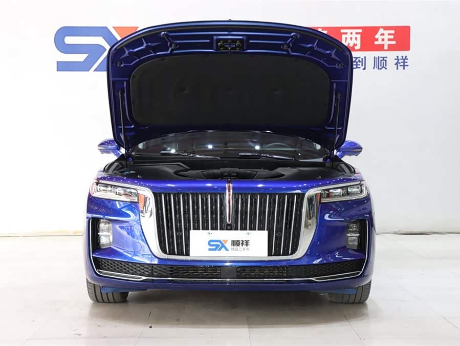 HongQi H9 2020 #19 HongQi H9 2020 car image #19