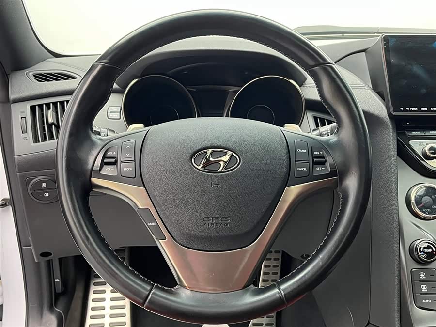 Hyundai Rohens-Coupe 2014 car image #19