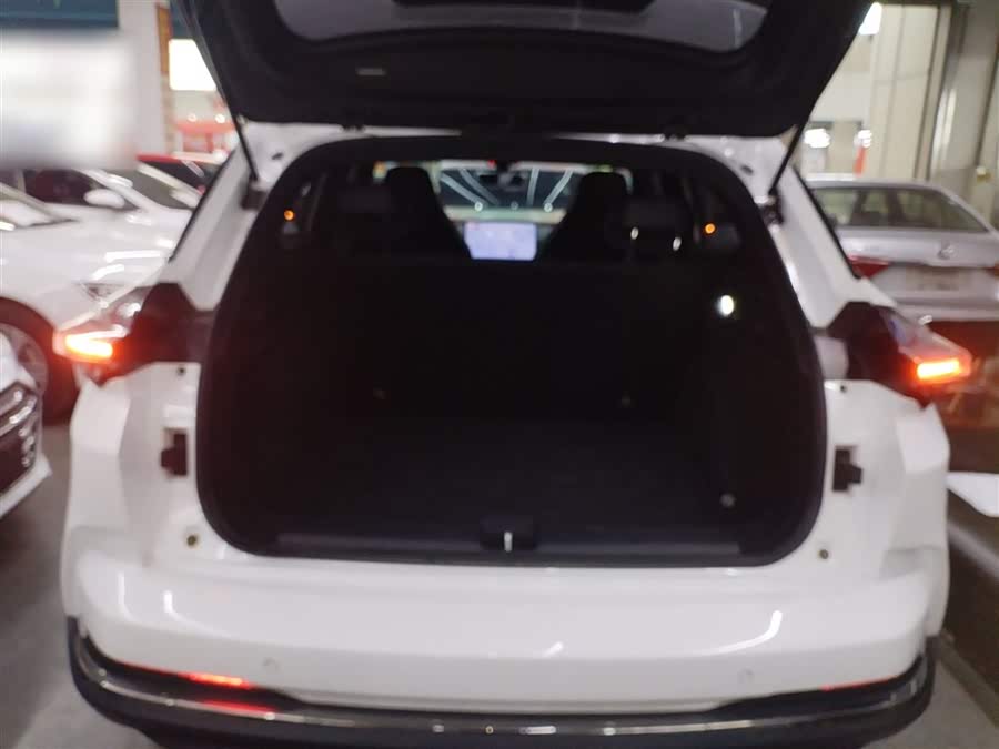 Neta X 2024 imagem de carro #19