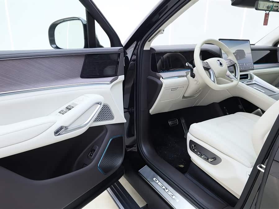 Denza N9 2025 car image #19