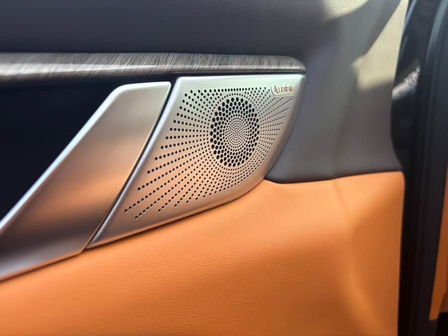 Tank 500 New Energy 2024 car image #19