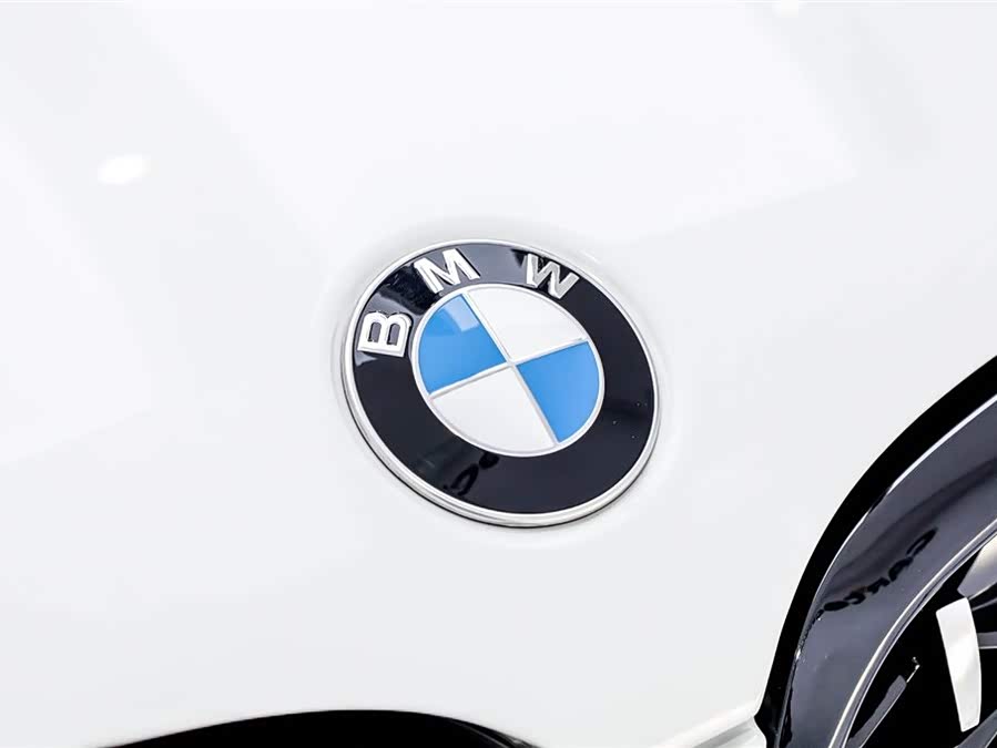 BMW X4 2020 immagine di auto #19