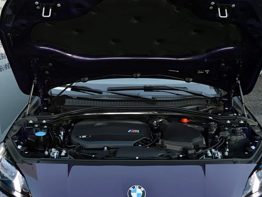 BMW M235L #19 BMW M235L car image #19