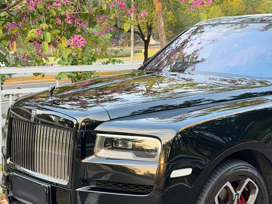 劳斯莱斯 库里南 2025 汽车图片 #19