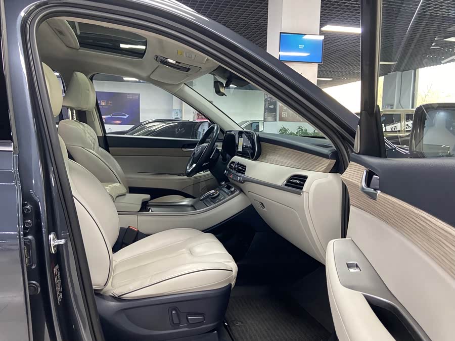 Hyundai Palisade 2022 car image #19