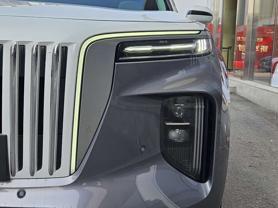 HongQi E-HS9 2021 صورة سيارة #19