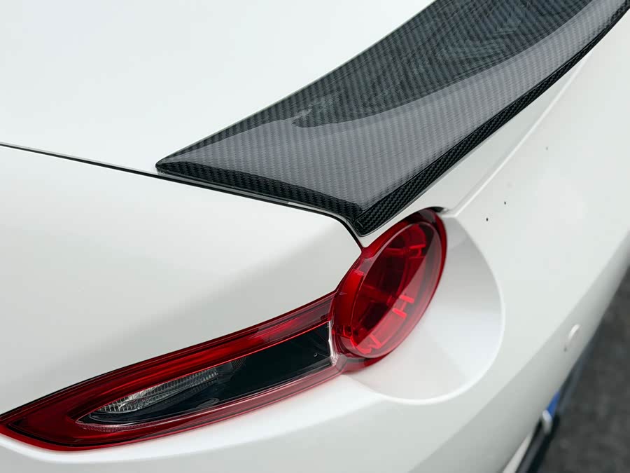 GEELY Monjaro MHEV 2019 car image #19