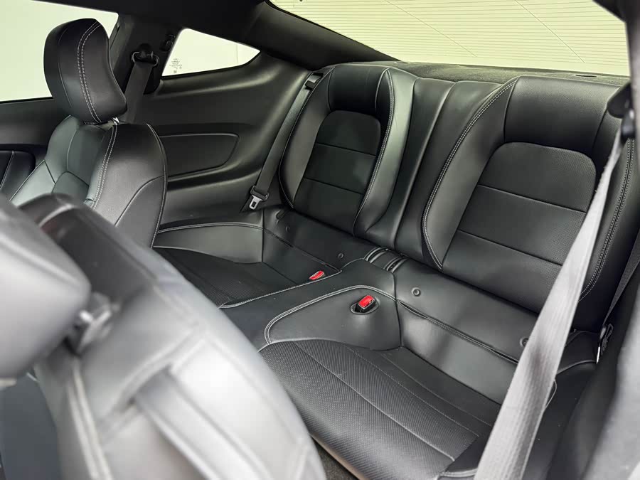 Ford Mustang 2016 car image #19