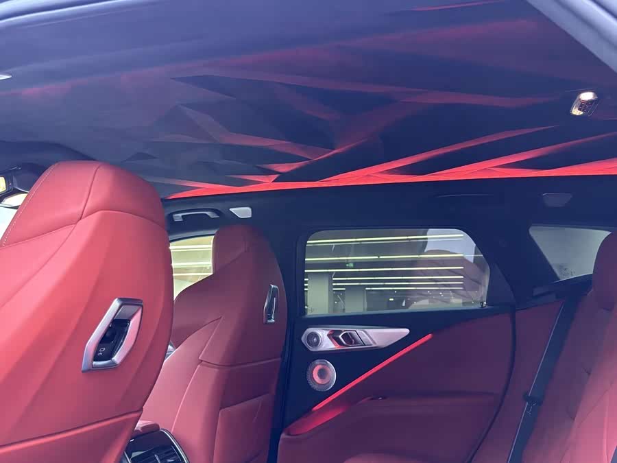 BMW XM car image #19