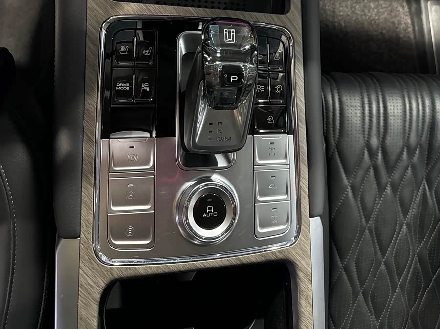 Tank 500 New Energy 2023 car image #19