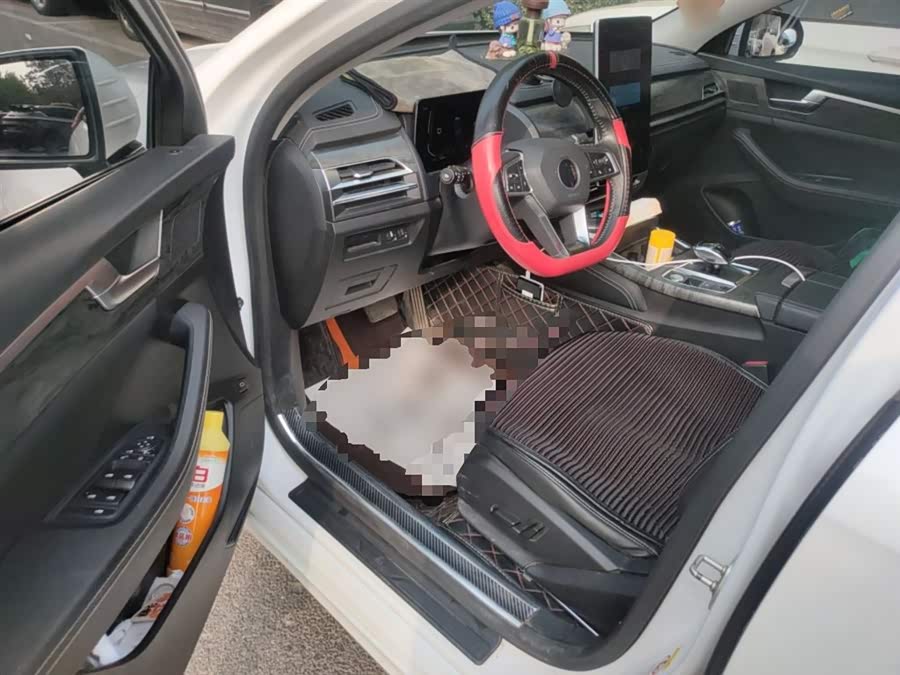 BYD Qin Pro New Energy 2019 #19 BYD Qin Pro New Energy 2019 car image #19