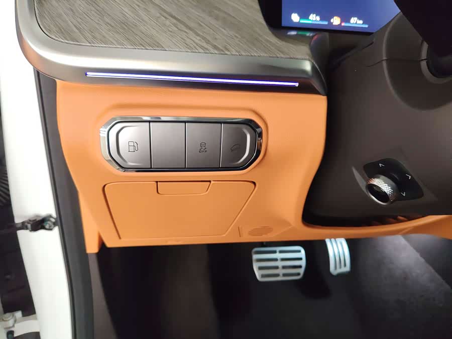 Tank 500 New Energy 2024 immagine di auto #19