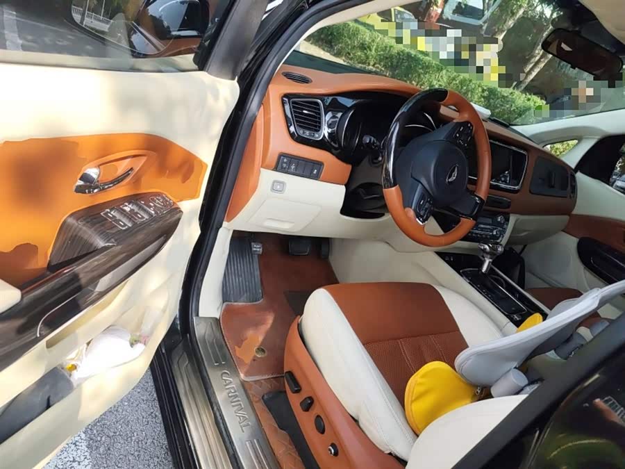 Kia Carnival (Imported) 2016 car image #19