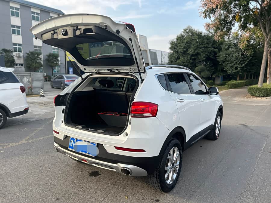 Haval H2s 2019 car image #19