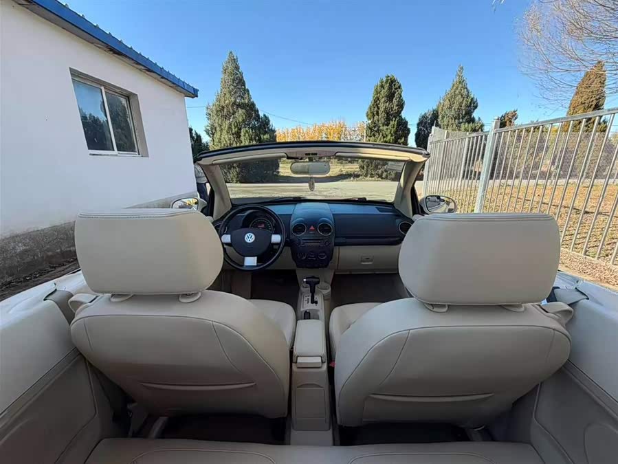 Volkswagen Beetle 2010 immagine di auto #19