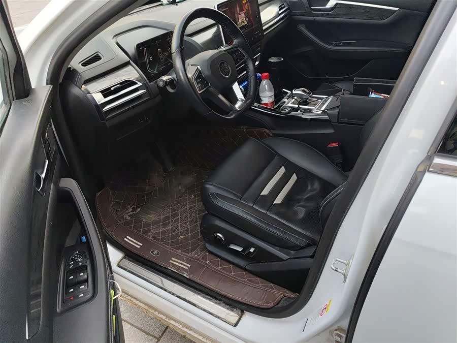 BYD Qin Pro New Energy 2021 car image #19