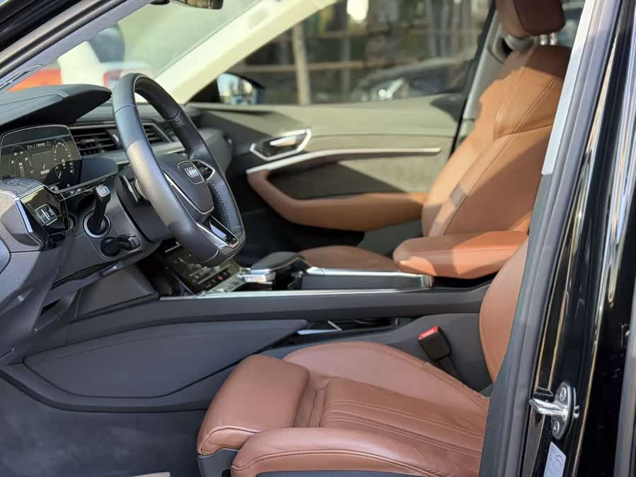 Audi e-tron (Imported) 2022 car image #19