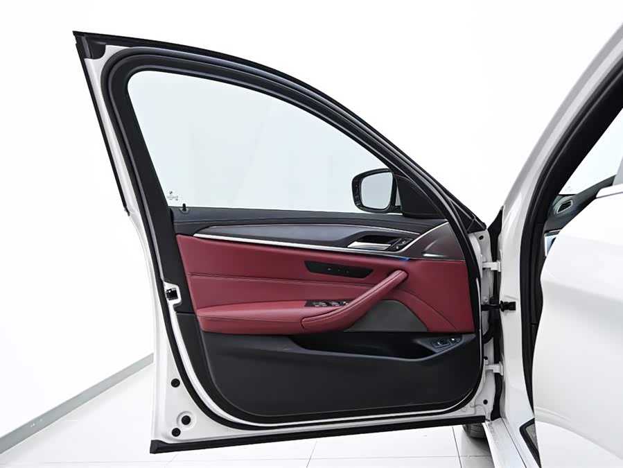 BMW 5 Series New Energy 2022 car image #19