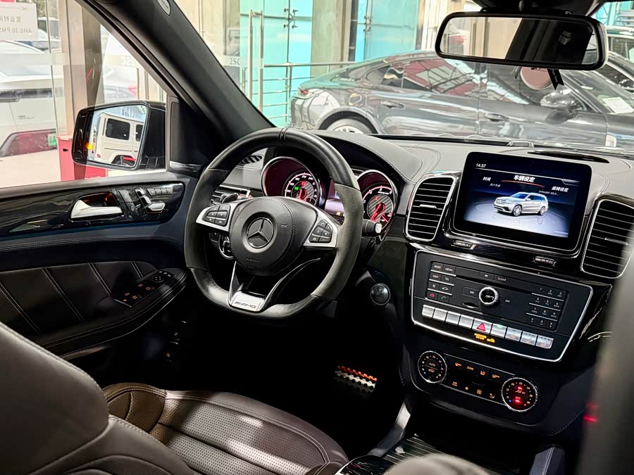 Mercedes-Benz GLS AMG 2019 car image #19