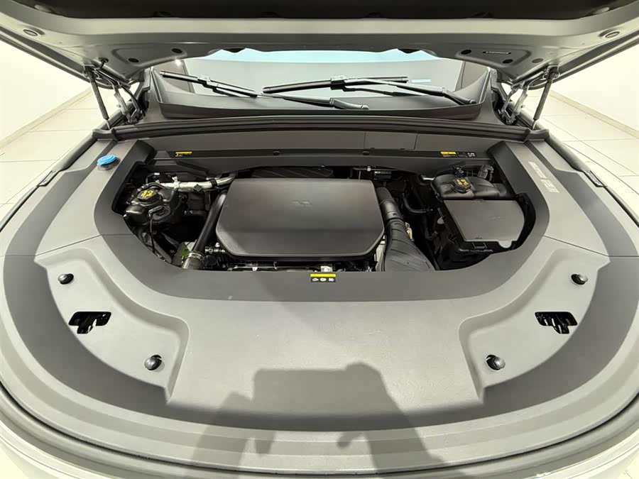 Li L9 2024 imagen de coche #19