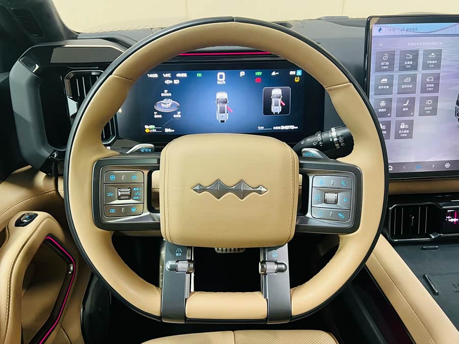 FangChengBao Leopard 8 2024 car image #19