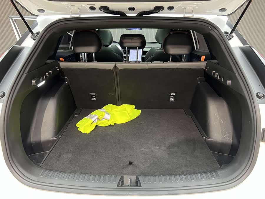 GEELY Monjaro MHEV 2023 car image #19