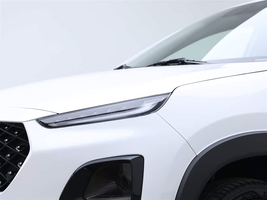 Chery Tiggo 3x 2017 #19 Chery Tiggo 3x 2017 car image #19