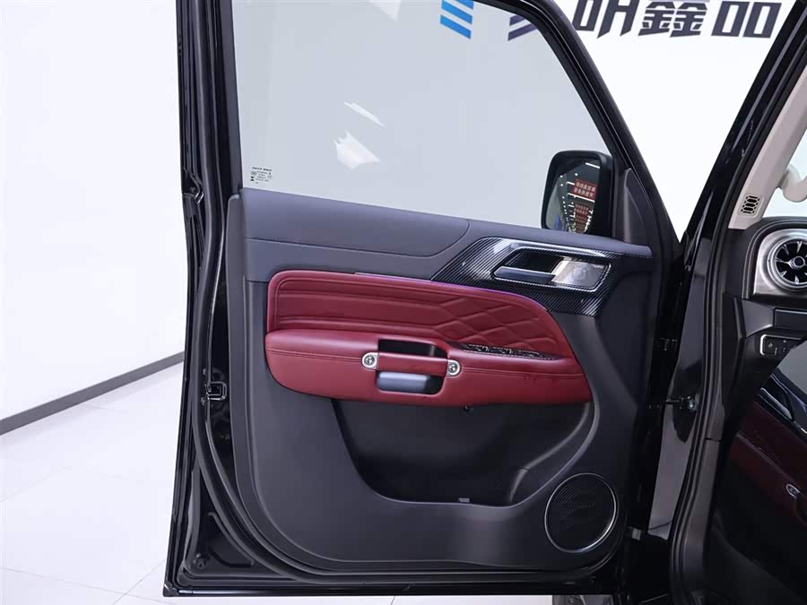 Tank 300 2024 car image #19