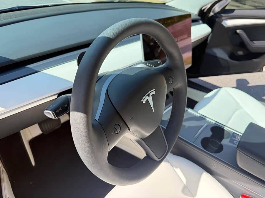 Tesla Model 3 2021 image de voiture #19
