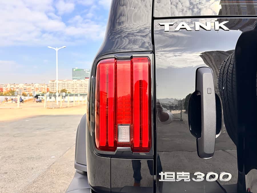 Tank 300 2023 imagem de carro #19