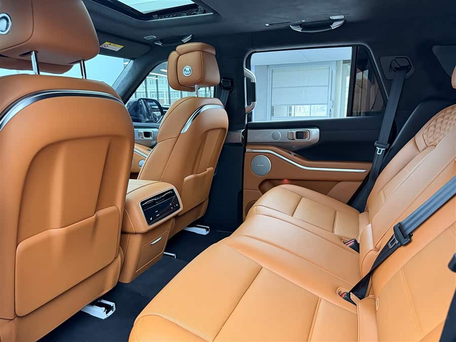 Tank 700 New Energy 2024 imagen de coche #19