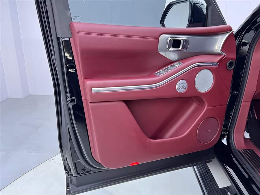 Tank 700 New Energy 2024 #19 Tank 700 New Energy 2024 imagen de coche #19