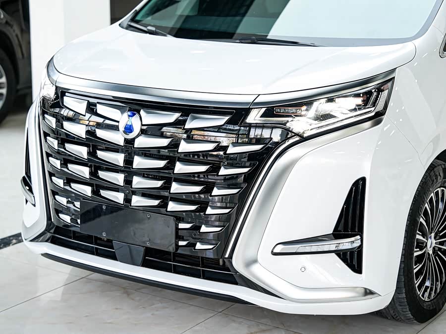 腾势 腾势D9 2024 汽车图片 #19