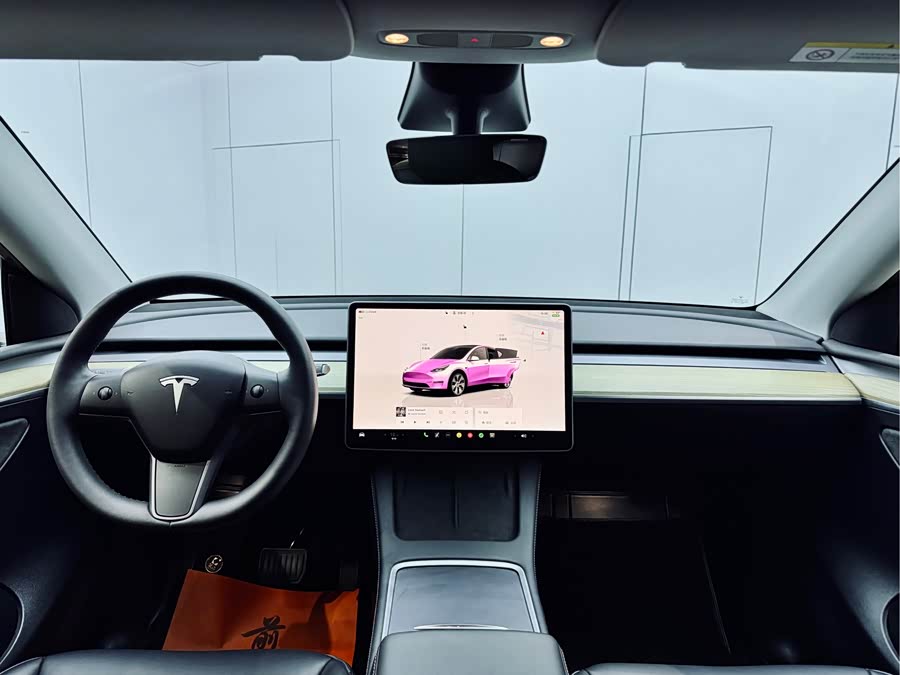 Tesla Model Y 2023 car image #19