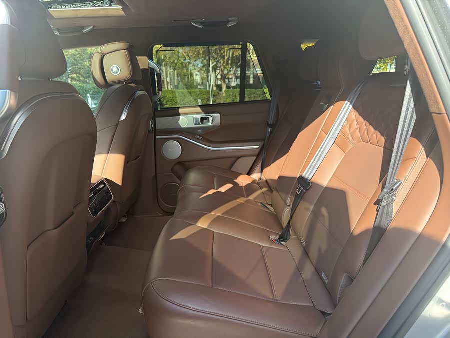 Tank 700 New Energy 2025 #19 Tank 700 New Energy 2025 immagine di auto #19