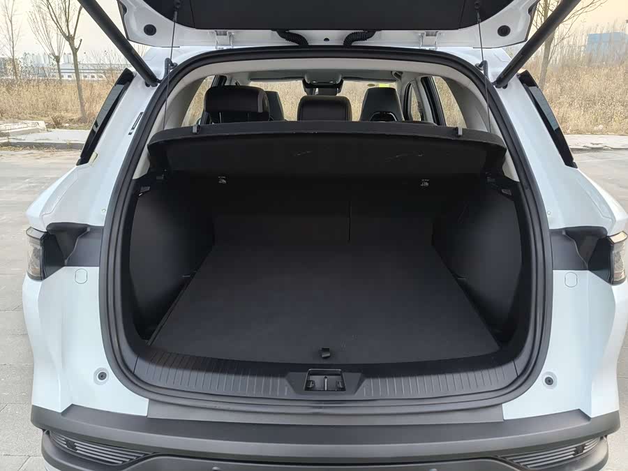 BYD Sea Lion 05 DM-i 2025 car image #19