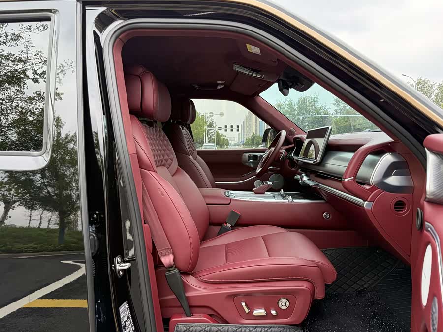 Tank 700 New Energy 2024 car image #19