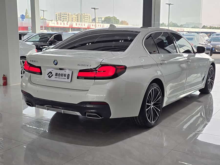 BMW 5 Series 2021 car image #19