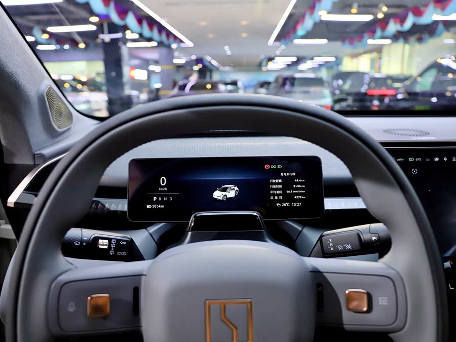 极氪 极氪X 2024 汽车图片 #19