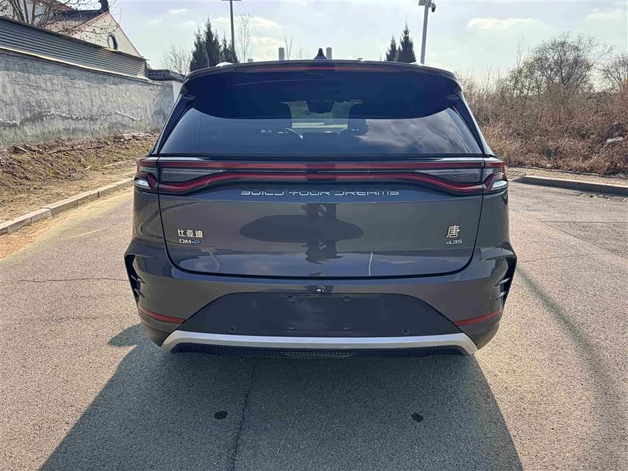 比亚迪 唐新能源 2023 汽车图片 #19