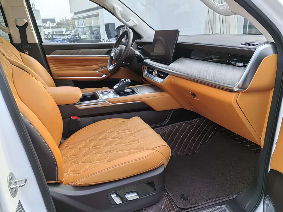 Tank 500 New Energy 2024 immagine di auto #19